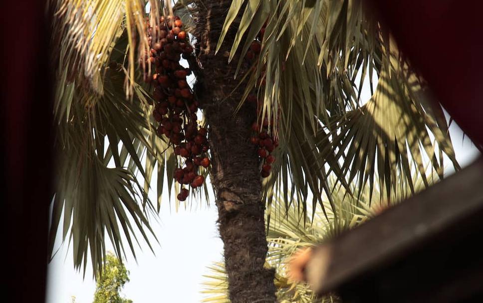 Imagem 17 do imóvel